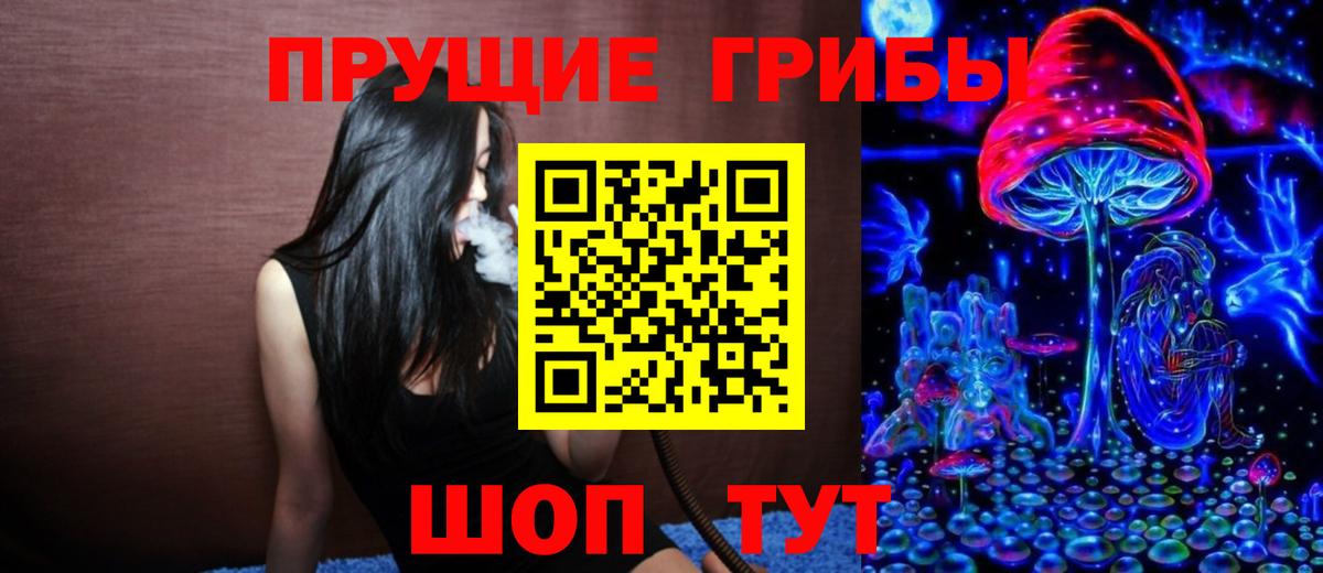 Псилоцибиновые грибы Cubensis  купить закладку  Ефремов  Псилоцибиновые грибы MAGIC MUSHROOMS  Вход с VPN 