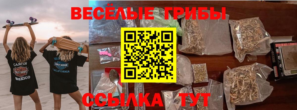 Псилоцибиновые грибы Psilocybe Ефремов